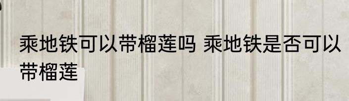 乘地铁可以带榴莲吗 乘地铁是否可以带榴莲