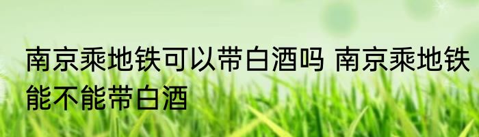 南京乘地铁可以带白酒吗 南京乘地铁能不能带白酒