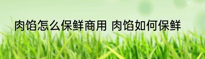 肉馅怎么保鲜商用 肉馅如何保鲜