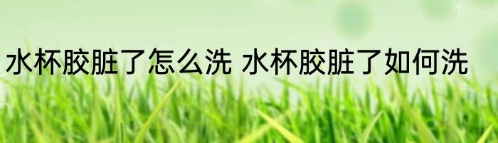 水杯胶脏了怎么洗 水杯胶脏了如何洗