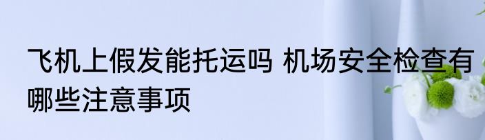 飞机上假发能托运吗 机场安全检查有哪些注意事项