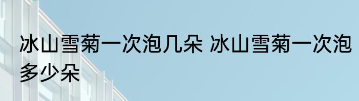 冰山雪菊一次泡几朵 冰山雪菊一次泡多少朵