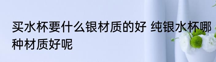 买水杯要什么银材质的好 纯银水杯哪种材质好呢