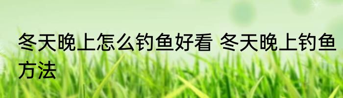 冬天晚上怎么钓鱼好看 冬天晚上钓鱼方法