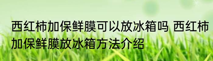 西红柿加保鲜膜可以放冰箱吗 西红柿加保鲜膜放冰箱方法介绍