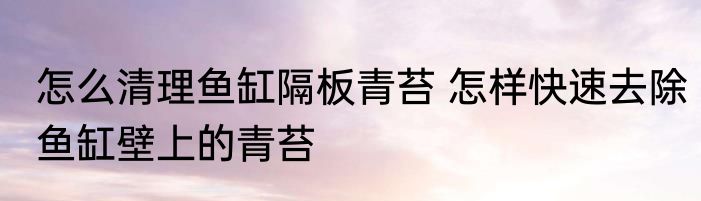 怎么清理鱼缸隔板青苔 怎样快速去除鱼缸壁上的青苔
