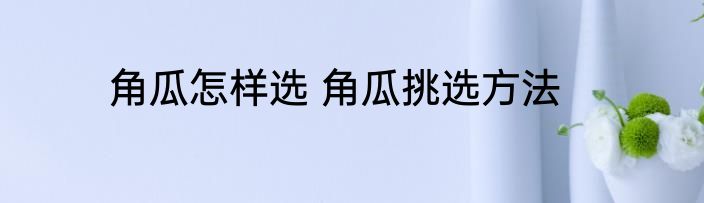 角瓜怎样选 角瓜挑选方法