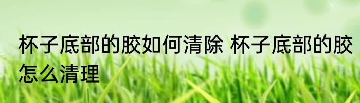 杯子底部的胶如何清除 杯子底部的胶怎么清理