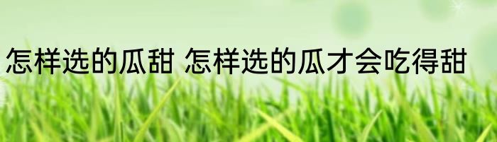 怎样选的瓜甜 怎样选的瓜才会吃得甜