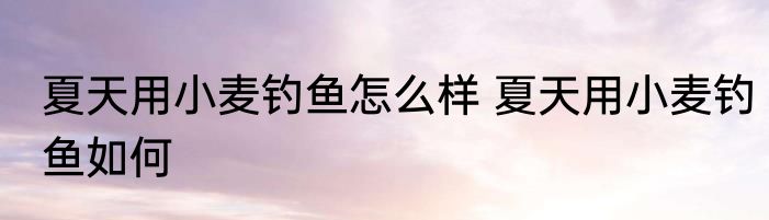 夏天用小麦钓鱼怎么样 夏天用小麦钓鱼如何