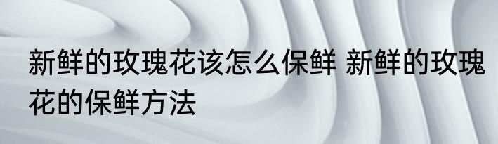 新鲜的玫瑰花该怎么保鲜 新鲜的玫瑰花的保鲜方法