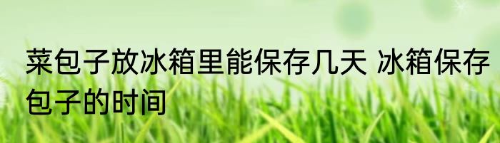 菜包子放冰箱里能保存几天 冰箱保存包子的时间