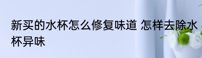 新买的水杯怎么修复味道 怎样去除水杯异味