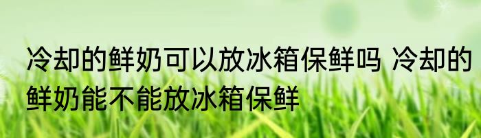 冷却的鲜奶可以放冰箱保鲜吗 冷却的鲜奶能不能放冰箱保鲜