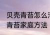 贝壳青苔怎么清理 怎样去掉贝壳上的青苔家庭方法