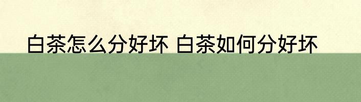 白茶怎么分好坏 白茶如何分好坏