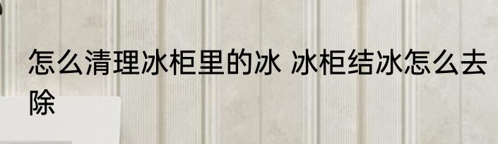 怎么清理冰柜里的冰 冰柜结冰怎么去除