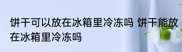 饼干可以放在冰箱里冷冻吗 饼干能放在冰箱里冷冻吗
