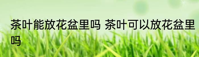 茶叶能放花盆里吗 茶叶可以放花盆里吗