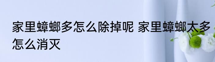 家里蟑螂多怎么除掉呢 家里蟑螂太多怎么消灭