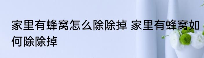 家里有蜂窝怎么除除掉 家里有蜂窝如何除除掉
