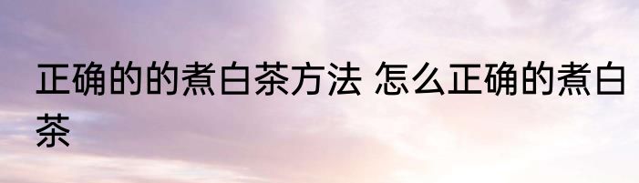 正确的的煮白茶方法 怎么正确的煮白茶