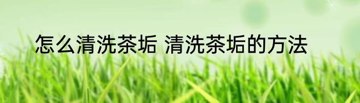 怎么清洗茶垢 清洗茶垢的方法