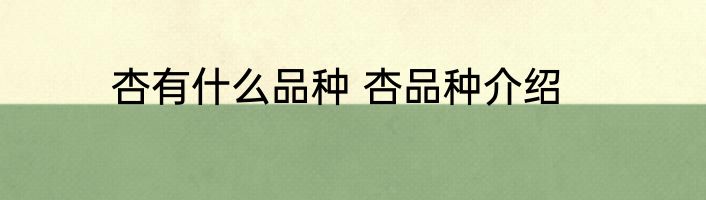 杏有什么品种 杏品种介绍