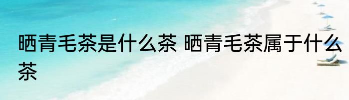 晒青毛茶是什么茶 晒青毛茶属于什么茶