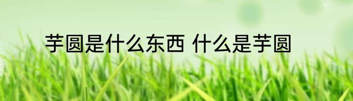 芋圆是什么东西 什么是芋圆