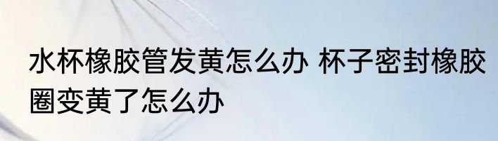 水杯橡胶管发黄怎么办 杯子密封橡胶圈变黄了怎么办