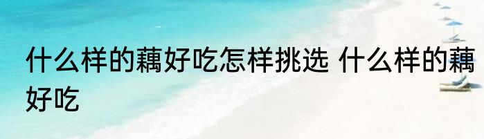 什么样的藕好吃怎样挑选 什么样的藕好吃