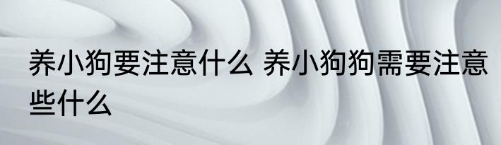 养小狗要注意什么 养小狗狗需要注意些什么