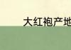 大红袍产地 大红袍产地介绍