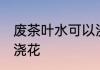 废茶叶水可以浇花吗 废茶叶水能不能浇花