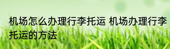 机场怎么办理行李托运 机场办理行李托运的方法