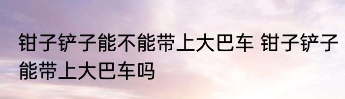 钳子铲子能不能带上大巴车 钳子铲子能带上大巴车吗
