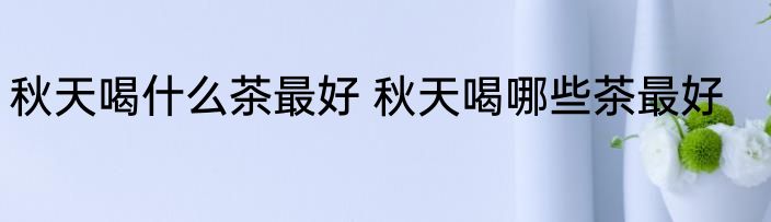 秋天喝什么茶最好 秋天喝哪些茶最好