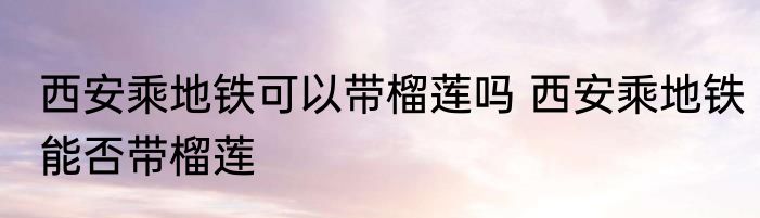 西安乘地铁可以带榴莲吗 西安乘地铁能否带榴莲