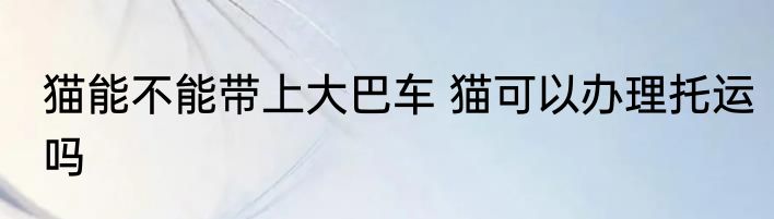 猫能不能带上大巴车 猫可以办理托运吗