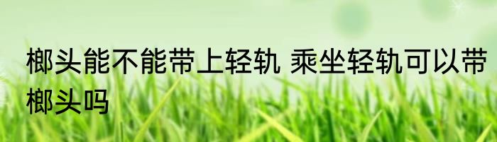 榔头能不能带上轻轨 乘坐轻轨可以带榔头吗