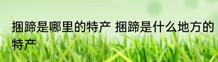 捆蹄是哪里的特产 捆蹄是什么地方的特产