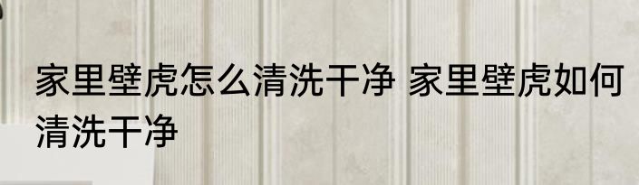 家里壁虎怎么清洗干净 家里壁虎如何清洗干净