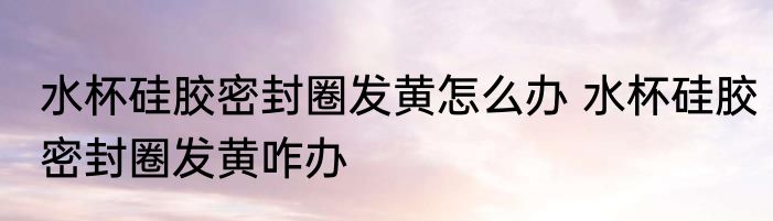 水杯硅胶密封圈发黄怎么办 水杯硅胶密封圈发黄咋办