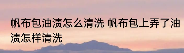 帆布包油渍怎么清洗 帆布包上弄了油渍怎样清洗