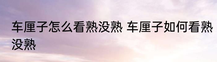 车厘子怎么看熟没熟 车厘子如何看熟没熟