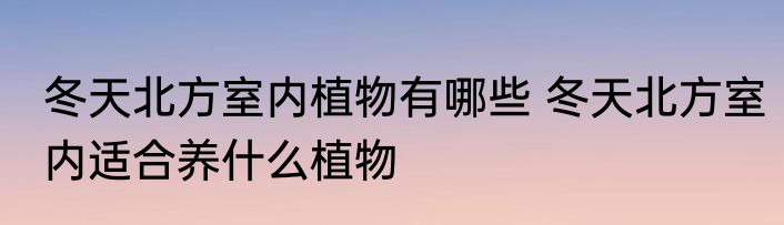 冬天北方室内植物有哪些 冬天北方室内适合养什么植物