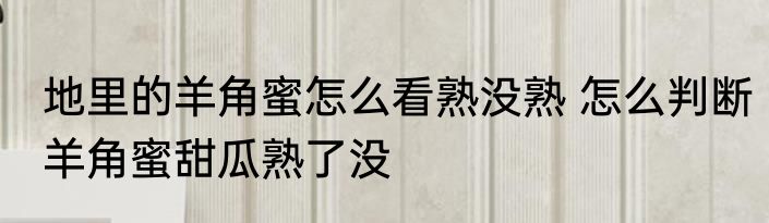 地里的羊角蜜怎么看熟没熟 怎么判断羊角蜜甜瓜熟了没
