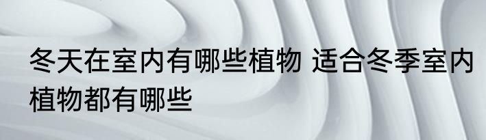 冬天在室内有哪些植物 适合冬季室内植物都有哪些