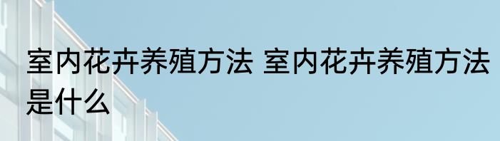 室内花卉养殖方法 室内花卉养殖方法是什么